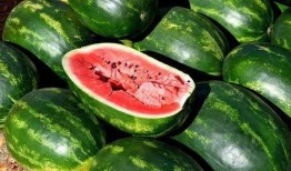 荣宝斋吃瓜视频下载免费,揭秘古董界的趣味瞬间